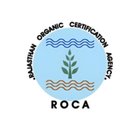 ROCA ROCA